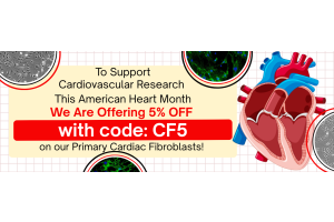 ScienCell is Supporting Cardiovascular Research This American Heart Month!